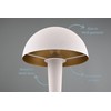 lightling Carina LED Table Lamp Metal Modern Light Indoor IP20