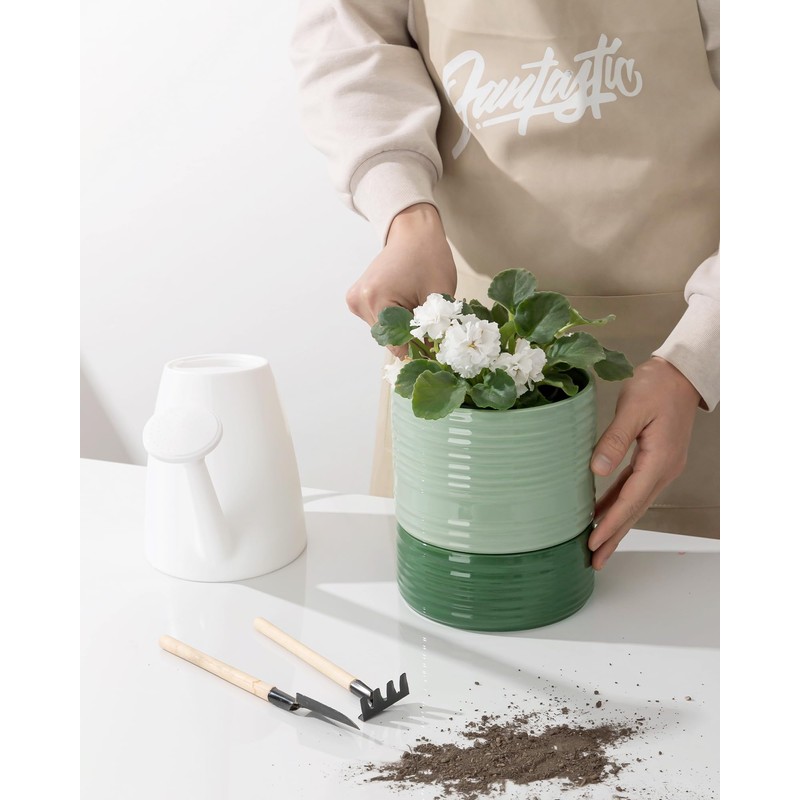 Fayoula Self Watering Pots for Indoor Plants, 6 Inch Ceramic
