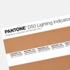 PANTONE LNDS-1PK-D50 Lighting Indicator Stickers D50