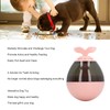 Dog Treat Dispensing Ball Increases IQ Interactive Boredom Relief Reduce