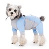 Dog Sun Protection Shirt, UV Shirt for Dogs, Lightweight Breathable