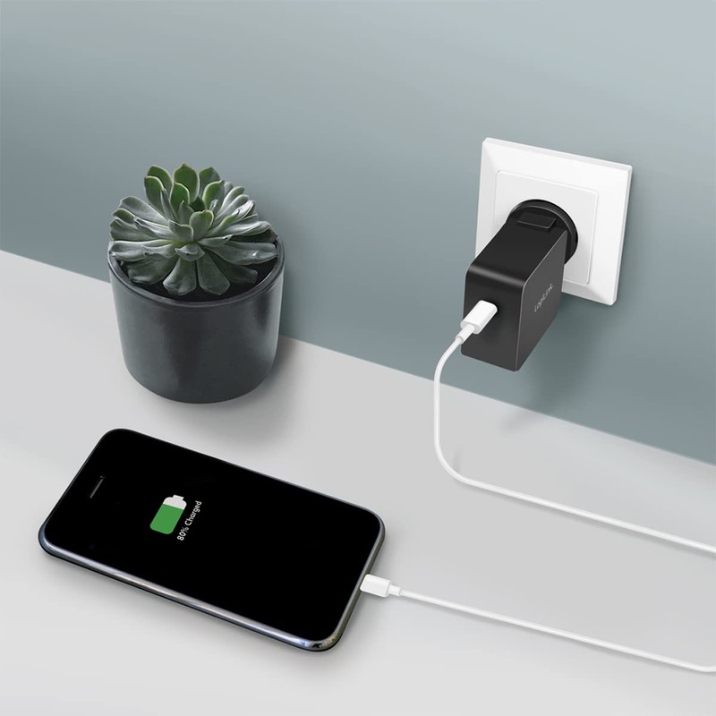 LogiLink GaN (Gallium Nitride) USB Fast Charge Travel Adapter 65W