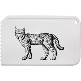 Azeeda 'Lynx Cat Standing' Plastic Ice Scraper (IC00041324)