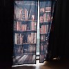 Living Room Curtains 3D Bookcase Printed Shading Curtains Bedroom Drapes