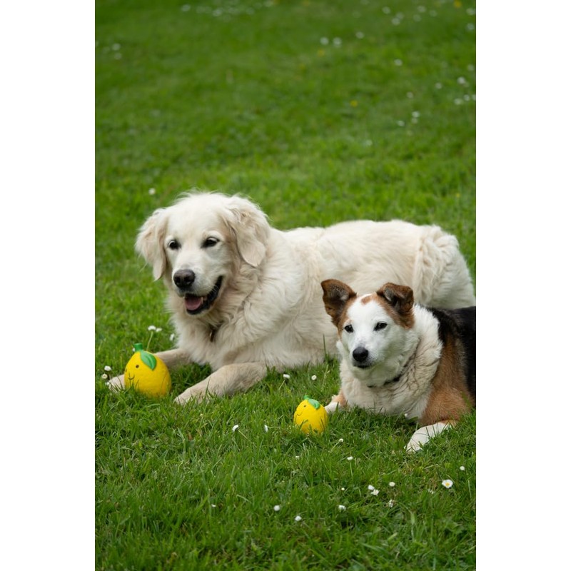 Petface Foodie Faces Latex Lemon Dog Toy with Built-In-Squeaker, Large