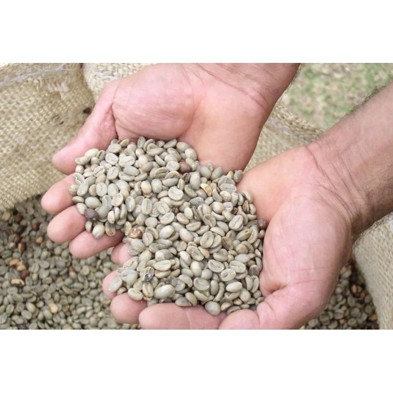 Howells Green Coffee 1/2 LB Green Sumatra Mandheling Coffee Beans