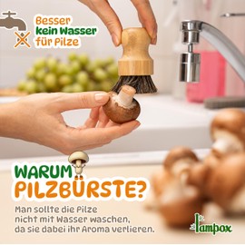 Mushroom Brush, Mushroom Brush, Kitchen Brush, Vegetable Brush, for Cleaning Mushrooms and Vegetables