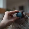 LucyBalu® Felt Balls for Cats, Cat Toy, Cat Balls Made