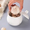 BEALIFE Storage Pot For Fresh Garlic Must-Have For Any Kitchen