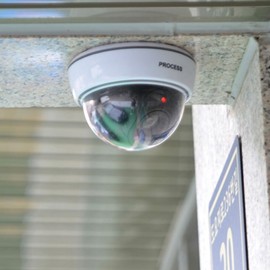 Dummy Dome CCTV Security Camera for Fake Surveillance & Deterrence For Deterrent Effect