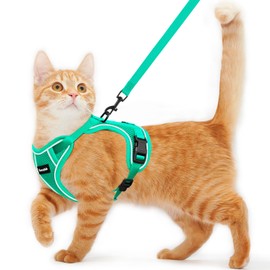 Cat Harness and Leash for Walking, Escape Proof, Adjustable, Comfortable Soft Vest, Easy to Wear Kitten Harness with Reflective Strip for Outdoor Travel, Fresh Green, XS
