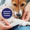 Canosept Wundgel für Hunde 20ml - Wundsalbe Hund - Reinigung