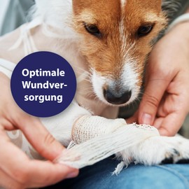 Canosept Wundgel für Hunde 20ml - Wundsalbe Hund - Reinigung & Pflege von Wundbereichen - Optimale Wundversorgung - Stressfreie Anwendung - Von Tierärzten empfohlen
