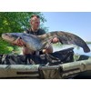 Tandem Baits Monster Cat Catfish Float with Rattle Floats Fishing