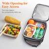 Lifewit Insulated Lunch Box for Men, Expandable Cooler Bag, Freezable