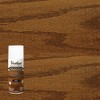Varathane 385549 Premium Fast Dry Wood Stain Spray, 10.25 oz,