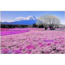 LEADINTOP Diamond Art, Square Bead Set, Mt. Fuji and Flowers, 15.7 x 11.8 inches (40 x 30 cm), Diamond Painting, Full Paste Type, Square Art, Mosaic Art, Diamond Embroidery, Bead Art, Handmade,