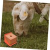 GRIRIW Salt Licking Brick Box Storage Container for Mineral Salt