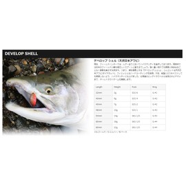 Field Hunter Spoon Developed Shell 1.3 inches (32 mm) 0.1 oz (3 g) S. Chart Yamame B3 Lure