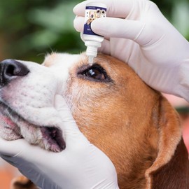 Limpiador De Ojos para Perros, 10ml Gotas para Los Ojos Perros, Quitamanchas De Lágrimas De Mascotas, Enjuague De Gato Fórmula Suave, Y Eliminar Impurezas, Alivias Sequedad Ocular