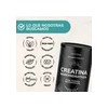 Creatina Monohidratada Micronizada 450g | Alta Pureza | Gym
