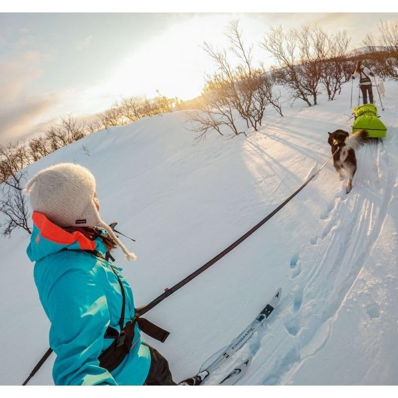 Non-stop dogwear Bungee Touring Leash, 2.m/ Width 2.3 cm