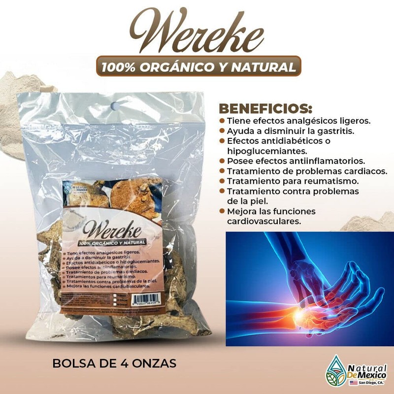 Wereke Huereque Hierba amarga Ayuda con el tratamiento del reumatismo