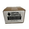 Hydrostone Plaster for Scenery, Dioramas, Dentistry and Mold Casting and
