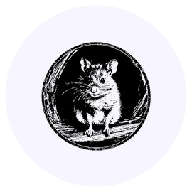 24 x 40mm Round 'Dormouse - British Wildlife' Stickers (SK00059809)