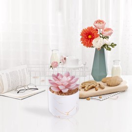 ZENIDA Succulent Artificial Plants,Cute Fake Succulents in 1 White Ceramic Pots,Small Fake Plants for Office,Table,Desk,Bathroom, Bedroom,Aesthetic Room Shelves Decor,Desk Decorations for Women Office