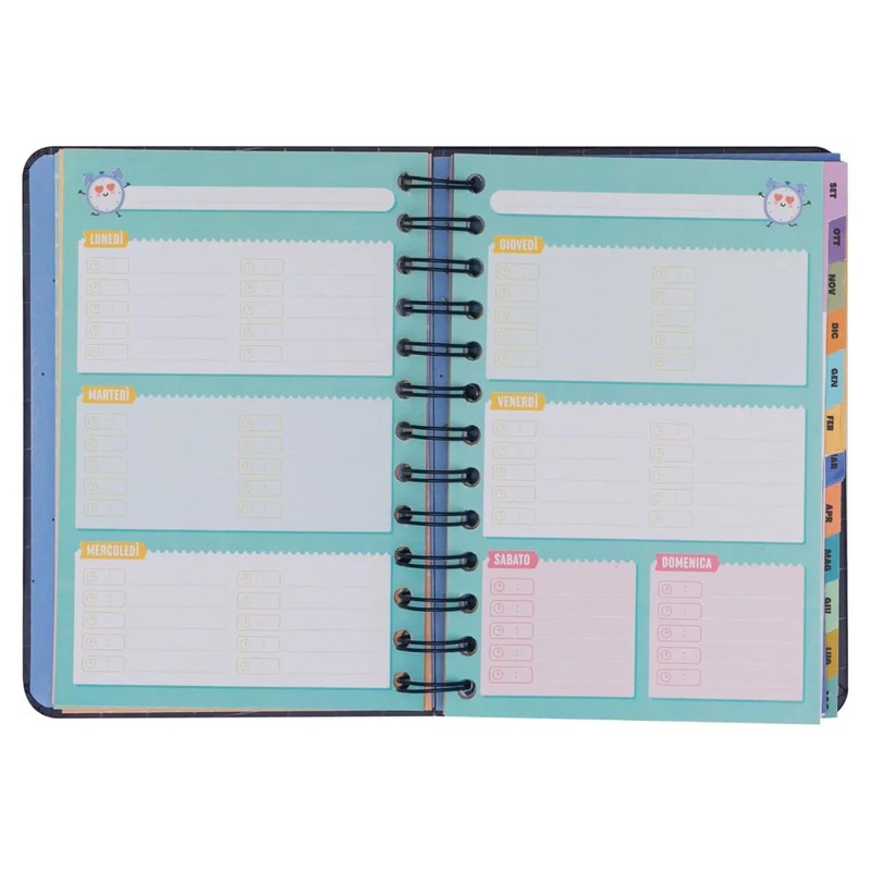 Mr. Wonderful Academic Diary 2024-25 Weekly Promising Projects and Dreams