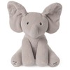 GUND - GND GBG Anmt Flappy TheElephant Git, Multi-Colour, 6054485,