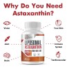 Liposomal Astaxantina 24mg Con 60 Softgels Hecho En Usa