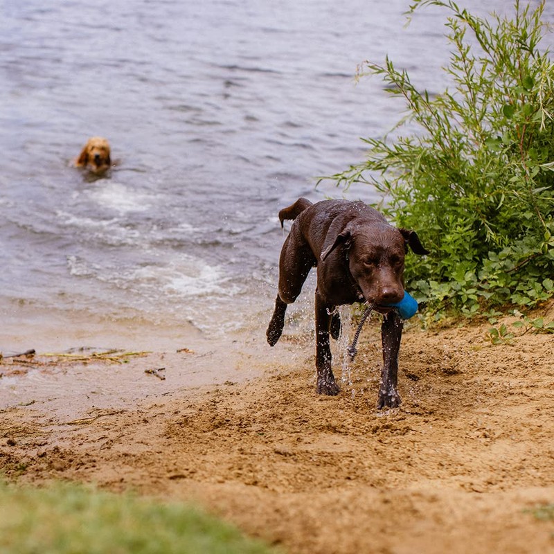 Nobby Snack Dummy Rio
