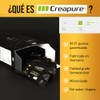PLENIUS & WINNER M+G | Creatina Monohidratada Creapure 100% Pura
