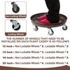 Kaoolaa Plant Caddy with Wheels 12 Inch 2 Pack, Heavy