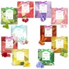 SCENTORINI Scented Sachet, Fragrance Sachets Bags for Wardrobe Drawers Closets,