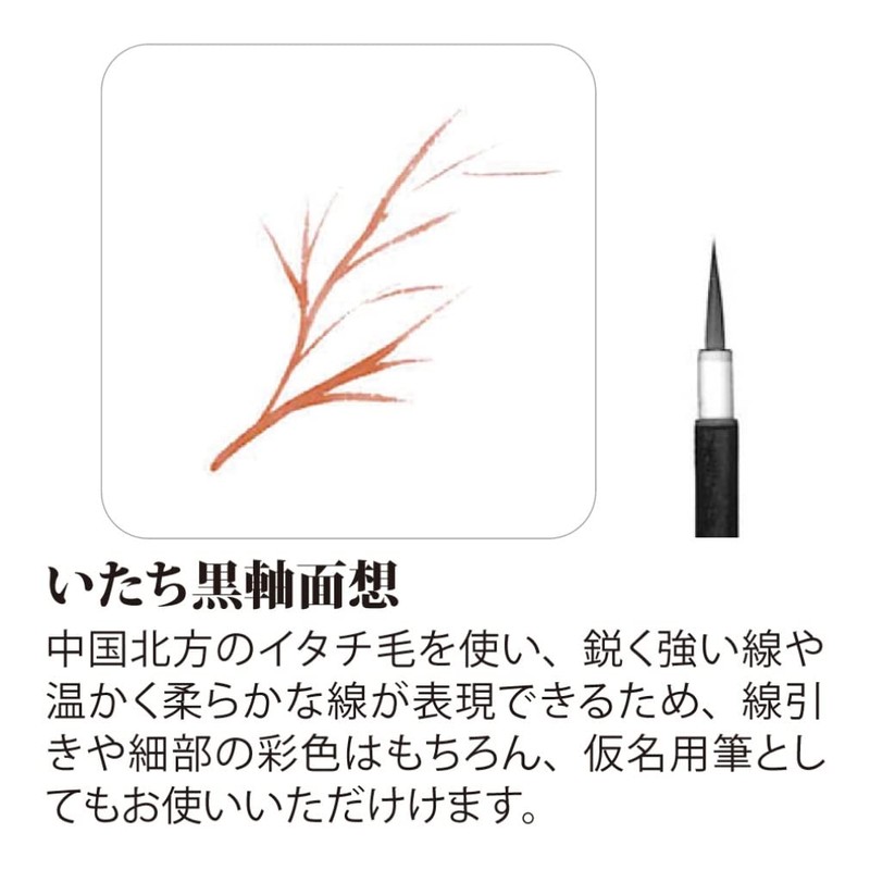 あかしや 画筆 絵手紙用 いたち黒軸面想 小 PN-24