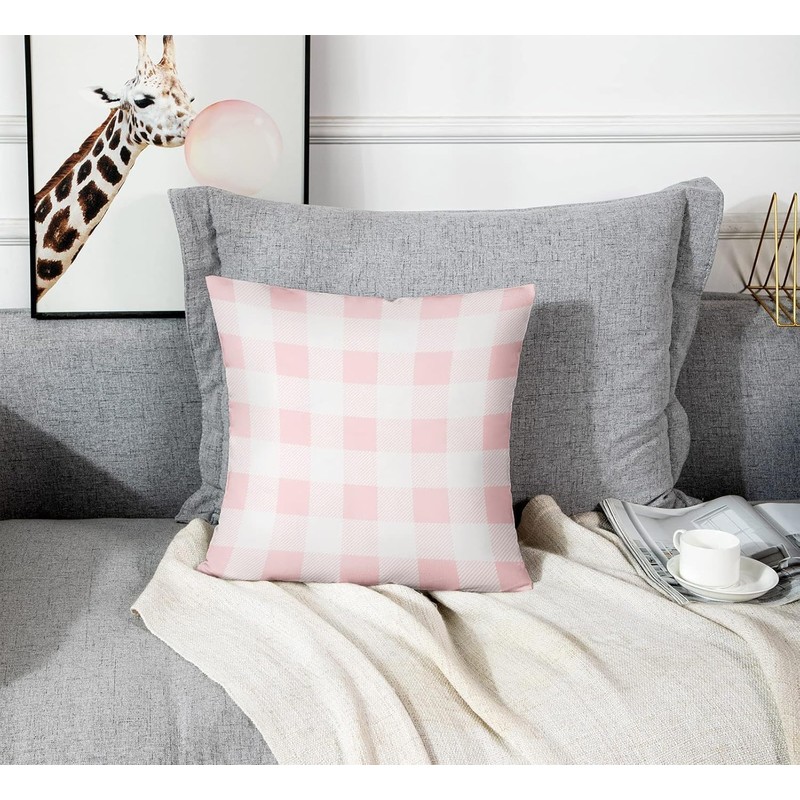 Emvency Set of 2 Throw Pillow Cover Cute Chic Pink