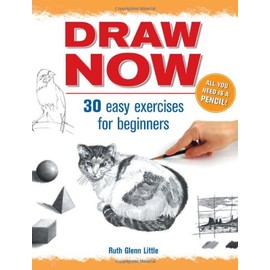 Draw Now (Discover Drawing)