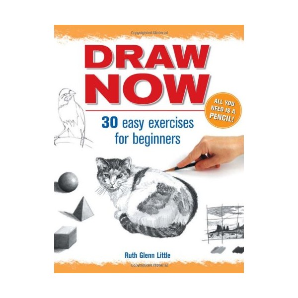 Draw Now (Discover Drawing)