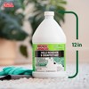 Mold Armor Mold Preventer, Disinfectant and Flood Cleanup, 1 gal.,