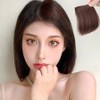 Volume Wig Hairpiece Women's Natural Hair Brown (WFIXPOZ) / 볼륨가발 헤어피스 여성용 자연스러운털 브라운 (WFIXPOZ)