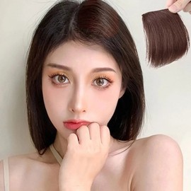 Volume Wig Hairpiece Women's Natural Hair Brown (WFIXPOZ) / 볼륨가발 헤어피스 여성용 자연스러운털 브라운 (WFIXPOZ)