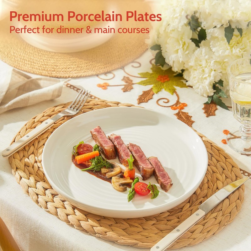 Sweese Porcelain Dinner Plates Set of 6, 10.5 Inch Dish