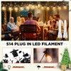 Rossesay 24 Pcs S14 Bulbs for Outdoor String Lights 1.5