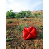 Klymit Pillow X Aufblasbares Camp- & Reisekissen, Coyote-Sand