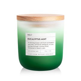 LUMELOOM Eucalyptus & Mint Scented Candle, 11oz Aromatherapy Soy Wax Candles for Home Scented, Long Lasting, Eucalyptus & Mint Scent Gift for Home, Women, Men, Friends, Stress Relief, Meditation