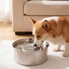 3L/101 oz Dog Water Bowl No Spill, Stainless Steel, Spill