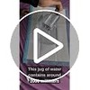 Disposable Incontinence Bed Pads 60x90cm, 30 Pack